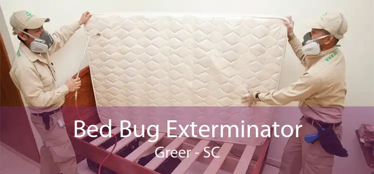 Bed Bug Exterminator Greer - SC