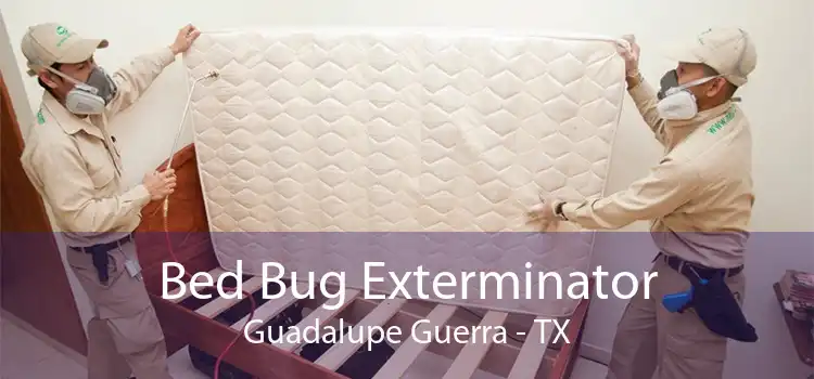 Bed Bug Exterminator Guadalupe Guerra - TX
