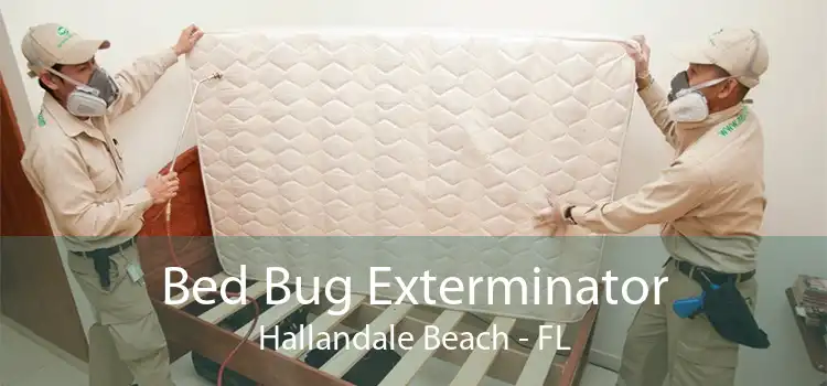 Bed Bug Exterminator Hallandale Beach - FL