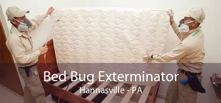 Bed Bug Exterminator Hannasville - PA