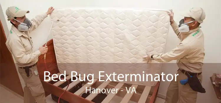 Bed Bug Exterminator Hanover - VA
