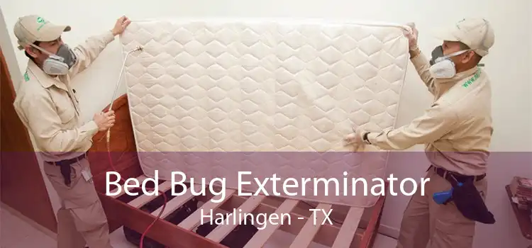 Bed Bug Exterminator Harlingen - TX