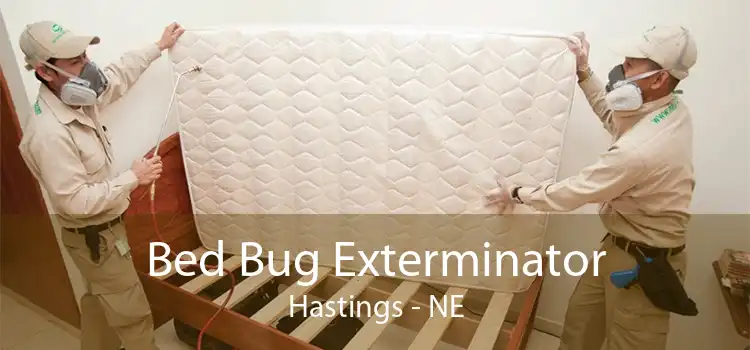 Bed Bug Exterminator Hastings - NE