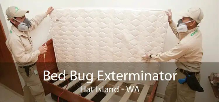 Bed Bug Exterminator Hat Island - WA