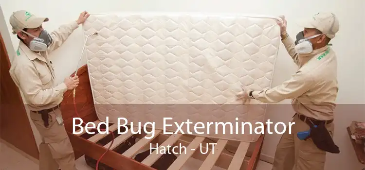 Bed Bug Exterminator Hatch - UT