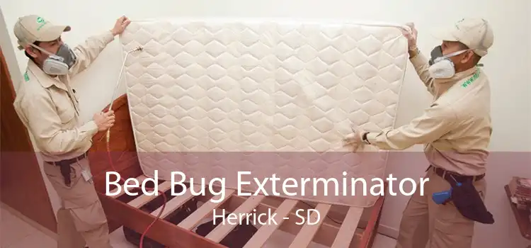 Bed Bug Exterminator Herrick - SD