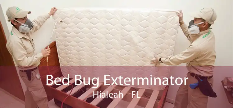 Bed Bug Exterminator Hialeah - FL