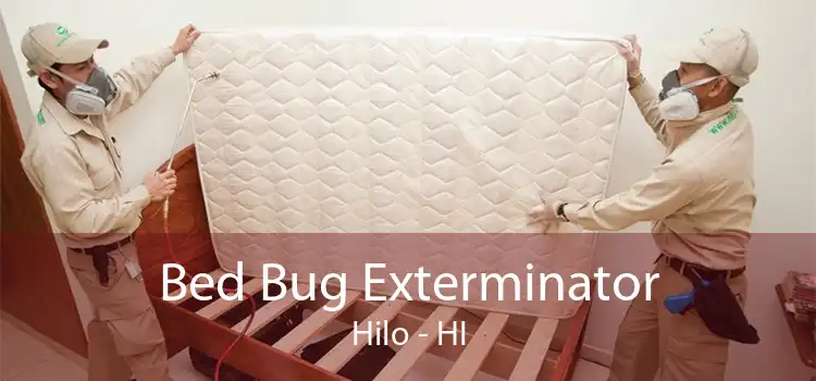 Bed Bug Exterminator Hilo - HI