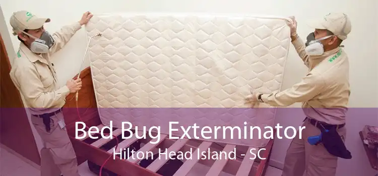 Bed Bug Exterminator Hilton Head Island - SC