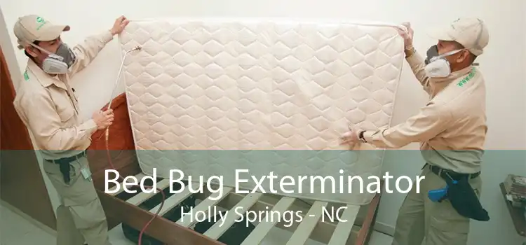 Bed Bug Exterminator Holly Springs - NC