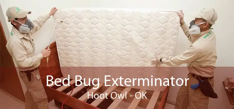 Bed Bug Exterminator Hoot Owl - OK
