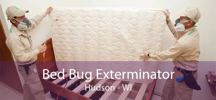 Bed Bug Exterminator Hudson - WI