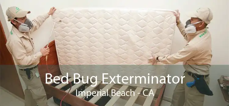 Bed Bug Exterminator Imperial Beach - CA