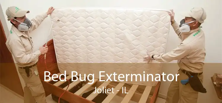 Bed Bug Exterminator Joliet - IL