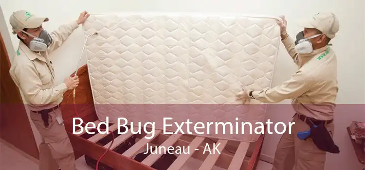 Bed Bug Exterminator Juneau - AK