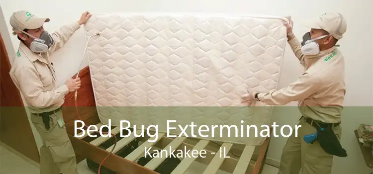 Bed Bug Exterminator Kankakee - IL