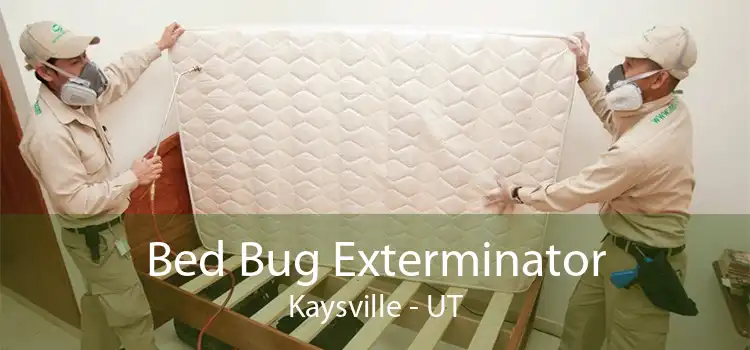 Bed Bug Exterminator Kaysville - UT