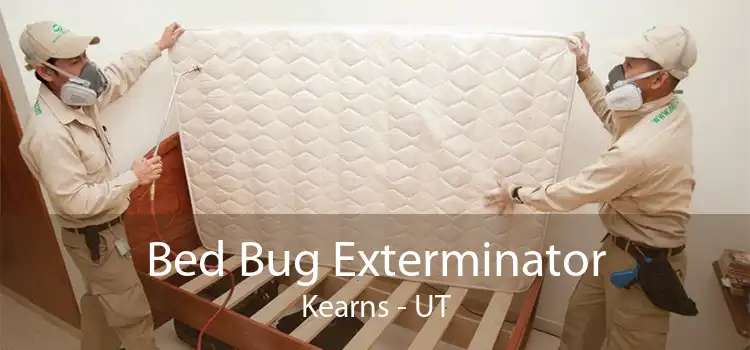 Bed Bug Exterminator Kearns - UT