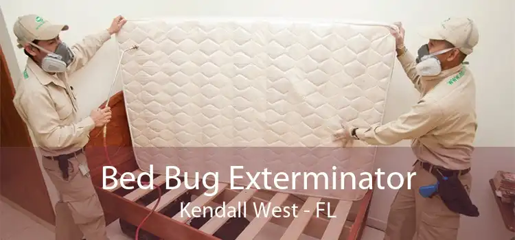 Bed Bug Exterminator Kendall West - FL