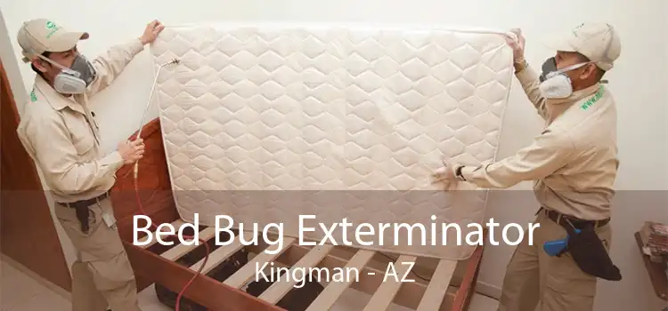 Bed Bug Exterminator Kingman - AZ