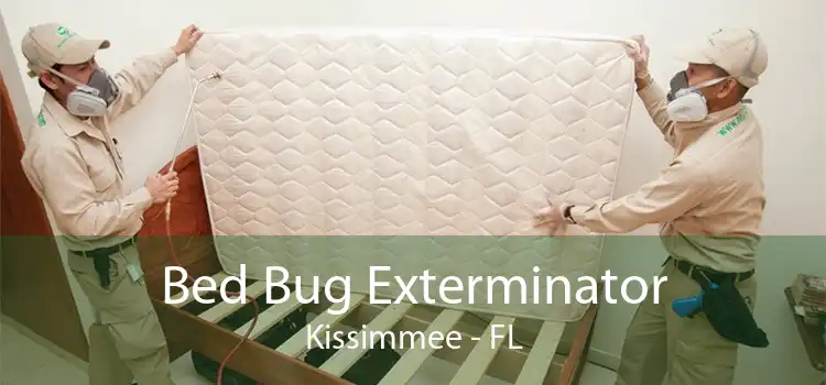 Bed Bug Exterminator Kissimmee - FL