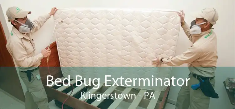 Bed Bug Exterminator Klingerstown - PA
