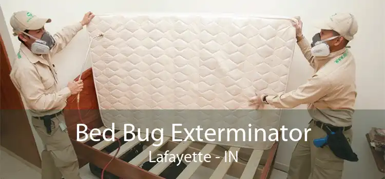 Bed Bug Exterminator Lafayette - IN