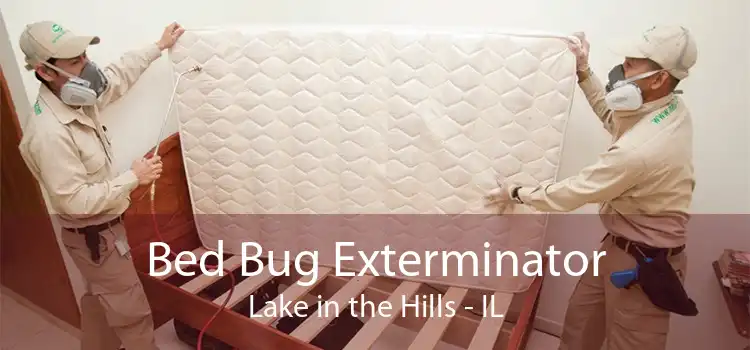 Bed Bug Exterminator Lake in the Hills - IL