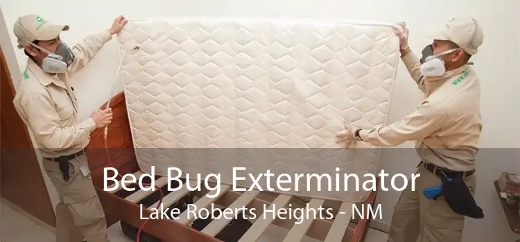Bed Bug Exterminator Lake Roberts Heights - NM