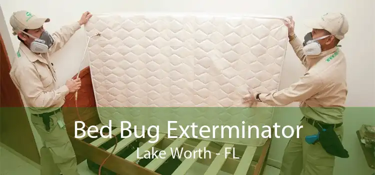 Bed Bug Exterminator Lake Worth - FL
