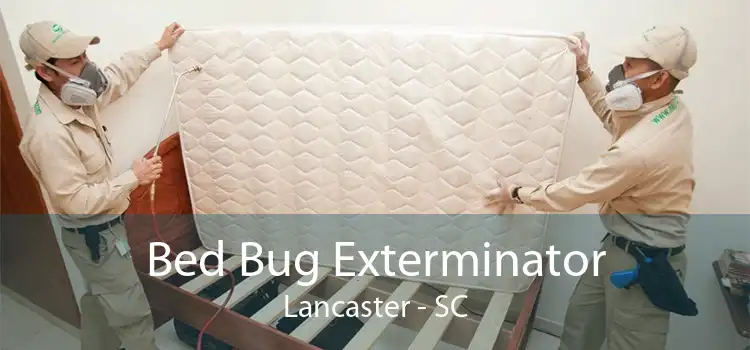 Bed Bug Exterminator Lancaster - SC