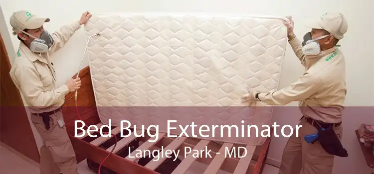 Bed Bug Exterminator Langley Park - MD