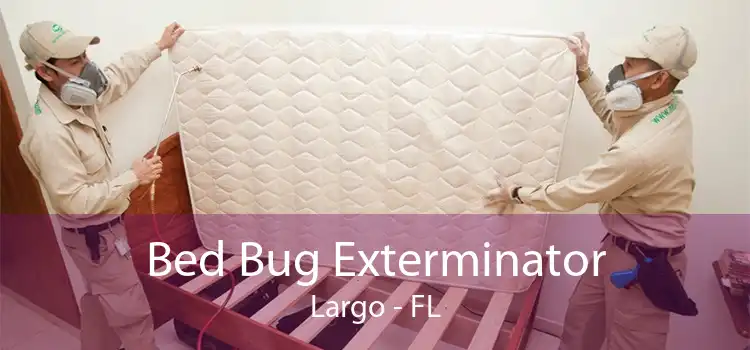 Bed Bug Exterminator Largo - FL