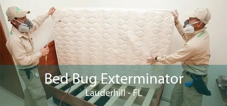 Bed Bug Exterminator Lauderhill - FL