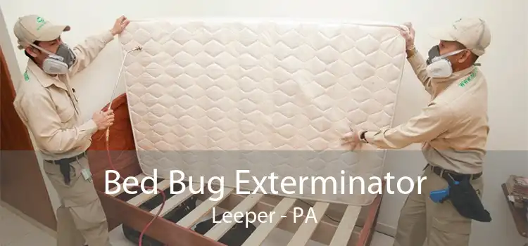 Bed Bug Exterminator Leeper - PA