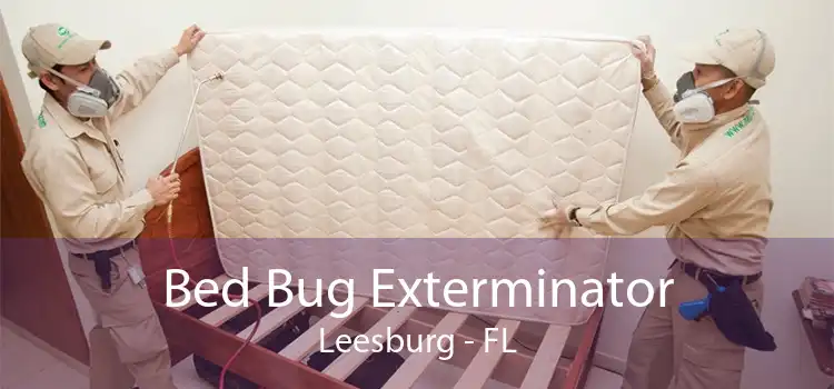 Bed Bug Exterminator Leesburg - FL