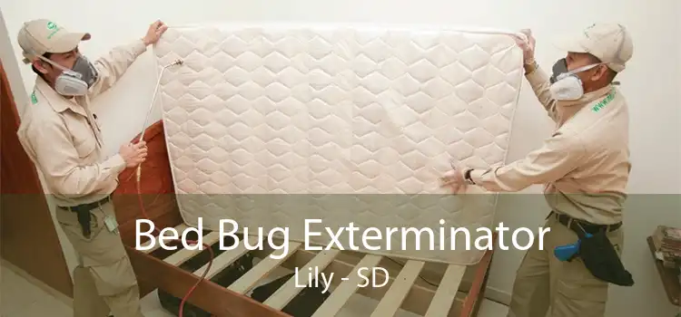 Bed Bug Exterminator Lily - SD