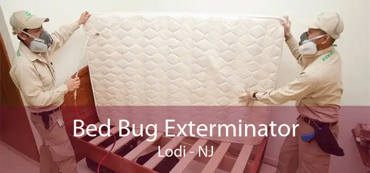 Bed Bug Exterminator Lodi - NJ