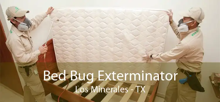 Bed Bug Exterminator Los Minerales - TX