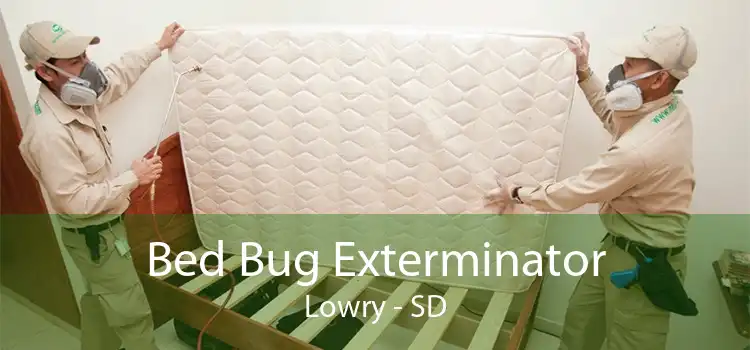Bed Bug Exterminator Lowry - SD