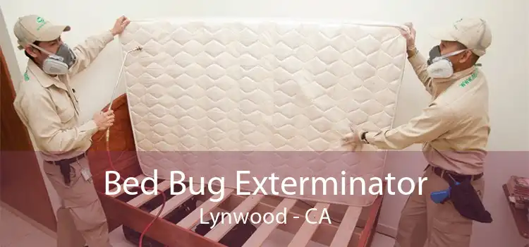 Bed Bug Exterminator Lynwood - CA