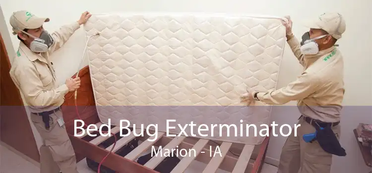 Bed Bug Exterminator Marion - IA