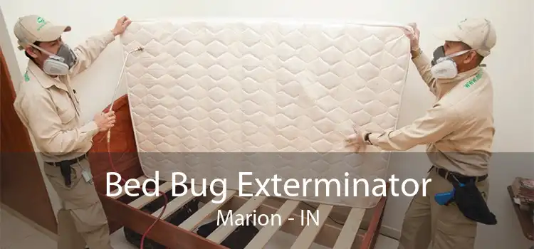 Bed Bug Exterminator Marion - IN