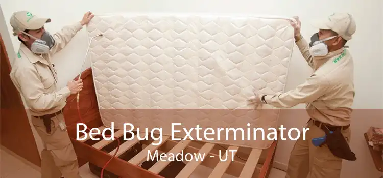 Bed Bug Exterminator Meadow - UT