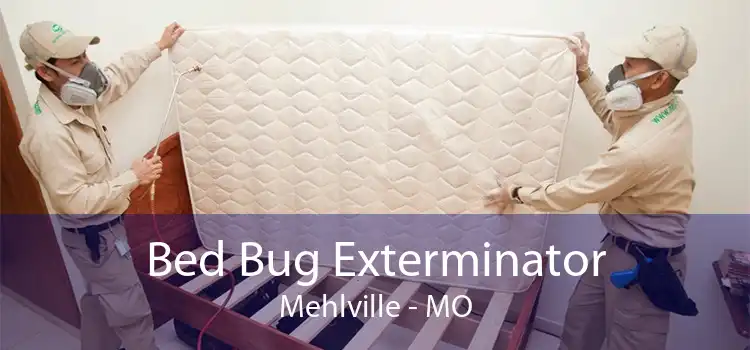Bed Bug Exterminator Mehlville - MO