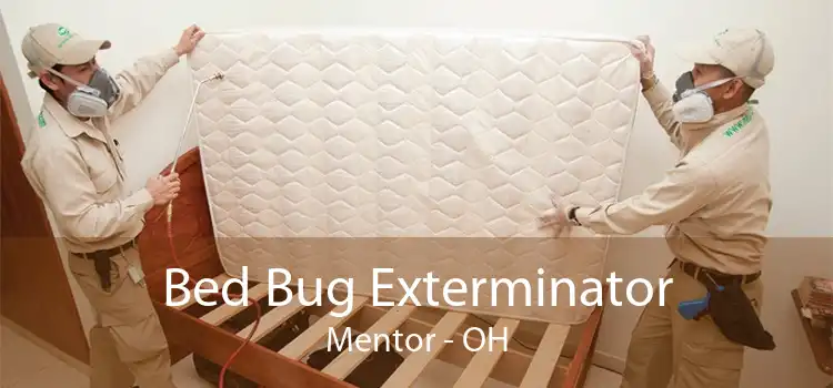 Bed Bug Exterminator Mentor - OH