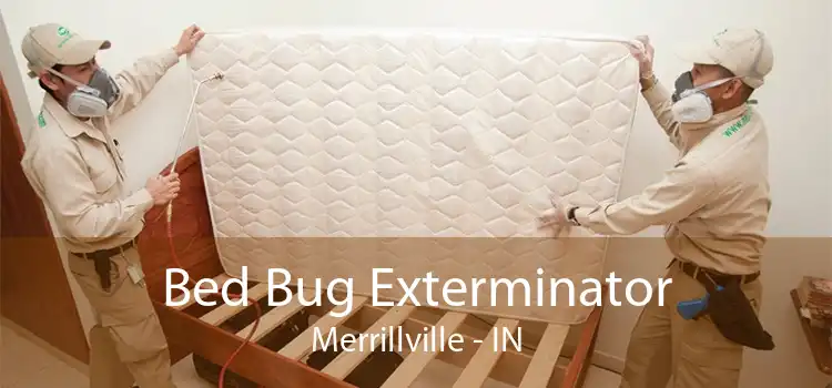 Bed Bug Exterminator Merrillville - IN