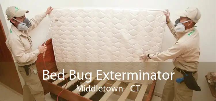 Bed Bug Exterminator Middletown - CT