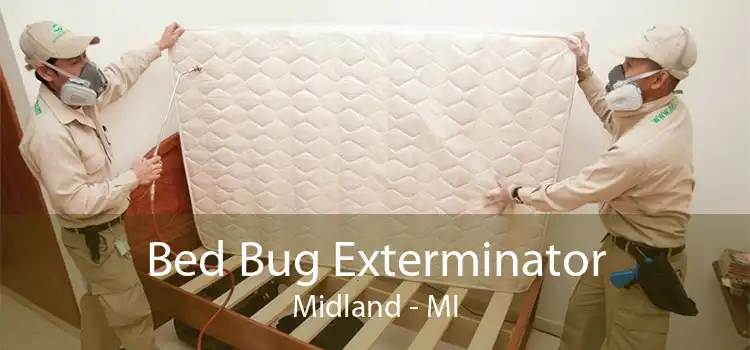 Bed Bug Exterminator Midland - MI