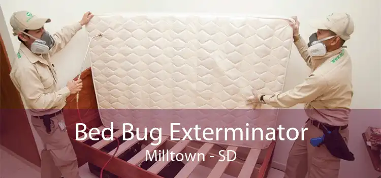 Bed Bug Exterminator Milltown - SD